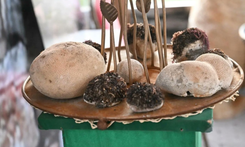 مهرجان جازان 2026: دليل الفعاليات الشتوية وأبرز العروض