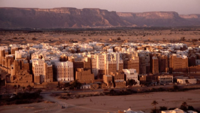 مجلس حضرموت الوطني يشيد بفعاليات المكلا المؤيدة للسعودية