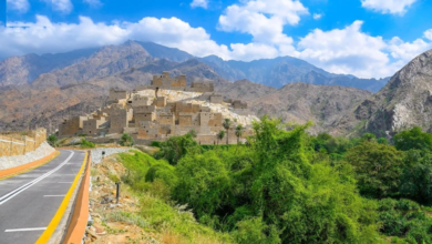 قرية ذي عين الأثرية.. جوهرة الباحة في واحة الأمن ومهرجان الإبل