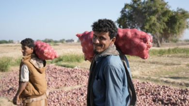 مشاريع البرنامج السعودي لتنمية وإعمار اليمن في أبين: نهضة شاملة