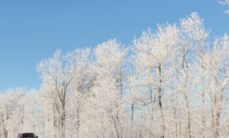 موجة برد تضرب كوريا: ثلوج وحرارة 10 تحت الصفر