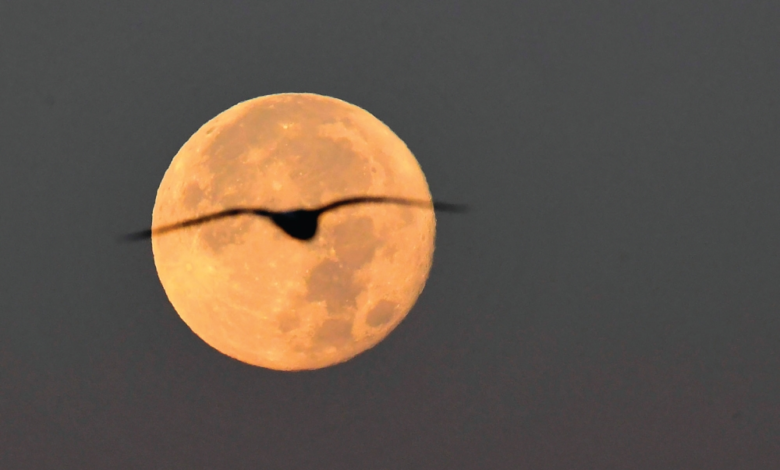 The first supermoon of 2026 will grace the skies of Saudi Arabia and the Arab world