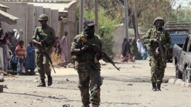 الجيش النيجري يعلن مقتل 40 إرهابياً ومصادرة أسلحة ووقود