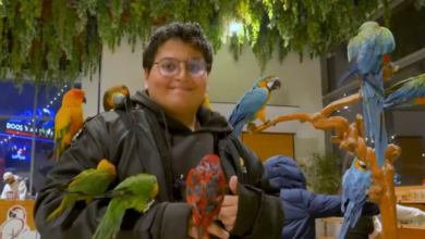 بيت بيردز في موسم الرياض: تجربة تفاعلية في بوليفارد سيتي