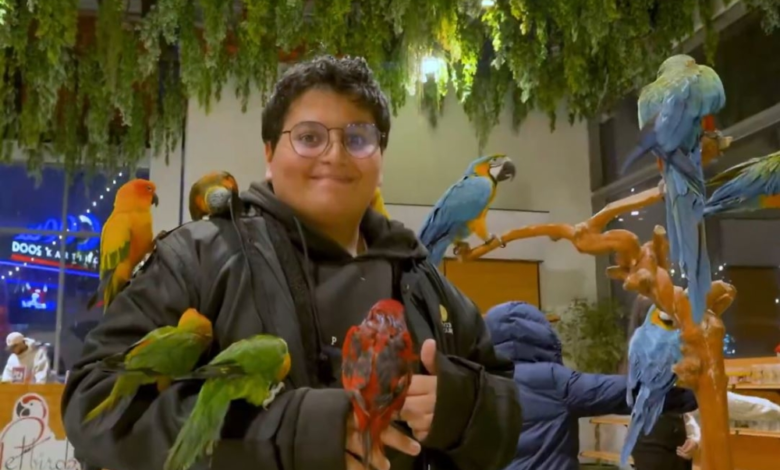 Birds House at Riyadh Season: An interactive experience at Boulevard City