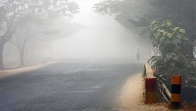 طقس السعودية: صقيع بالشمالية ورياح بالشرقية - تفاصيل التحذيرات