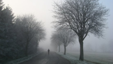 درجات الحرارة العظمى اليوم في السعودية: الدمام 17 ومكة 31