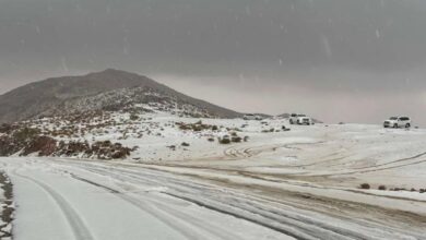 الثلوج تشل هولندا: إلغاء رحلات وتوقف القطارات في أمستردام