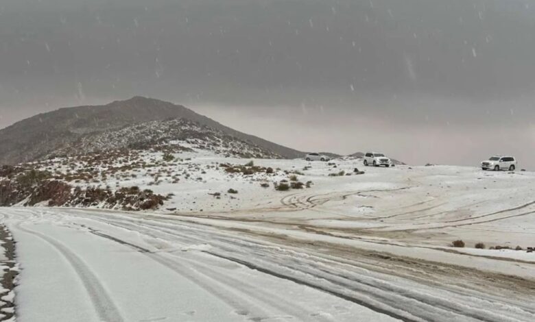 الثلوج تشل هولندا: إلغاء رحلات وتوقف القطارات في أمستردام