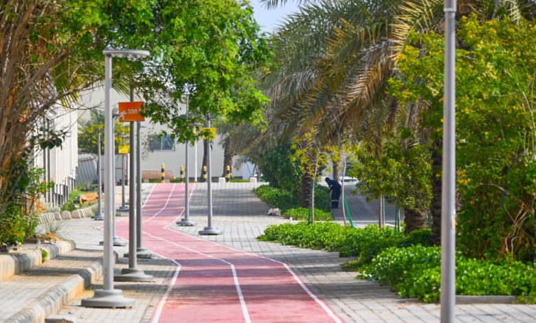 بلدية الظهران تزرع 111 ألف زهرة لتعزيز جودة الحياة