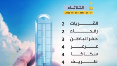 أقل درجات الحرارة في السعودية.. القريات ورفحاء تسجلان درجتين