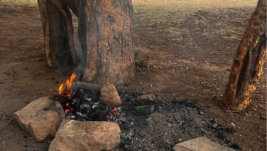 ضبط مخالفة بيئية في محمية الإمام فيصل بن تركي وعقوبتها