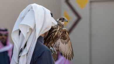 Twelve falconers crowned at the King Abdulaziz Falconry Festival 2025