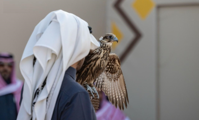 Twelve falconers crowned at the King Abdulaziz Falconry Festival 2025