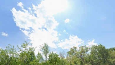 طقس الأربعاء في السعودية: أمطار رعدية وضباب على هذه المناطق