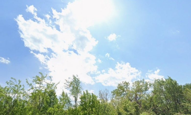 Wednesday's weather in Saudi Arabia: Thunderstorms and fog in these areas