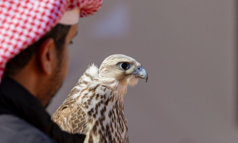 نتائج مزاين الصقور 2025: الفائزون في اليوم الثاني بمهرجان الملك عبدالعزيز