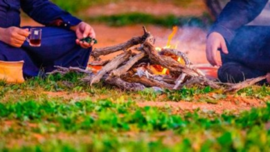 Environmental security apprehends a person for starting a fire in the city - penalty and details