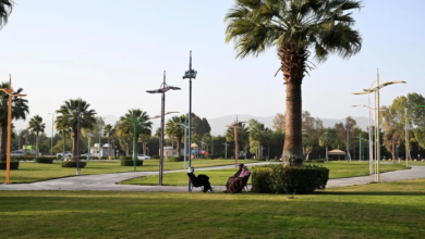 Najran Gardens: An ideal tourist destination during the semester break