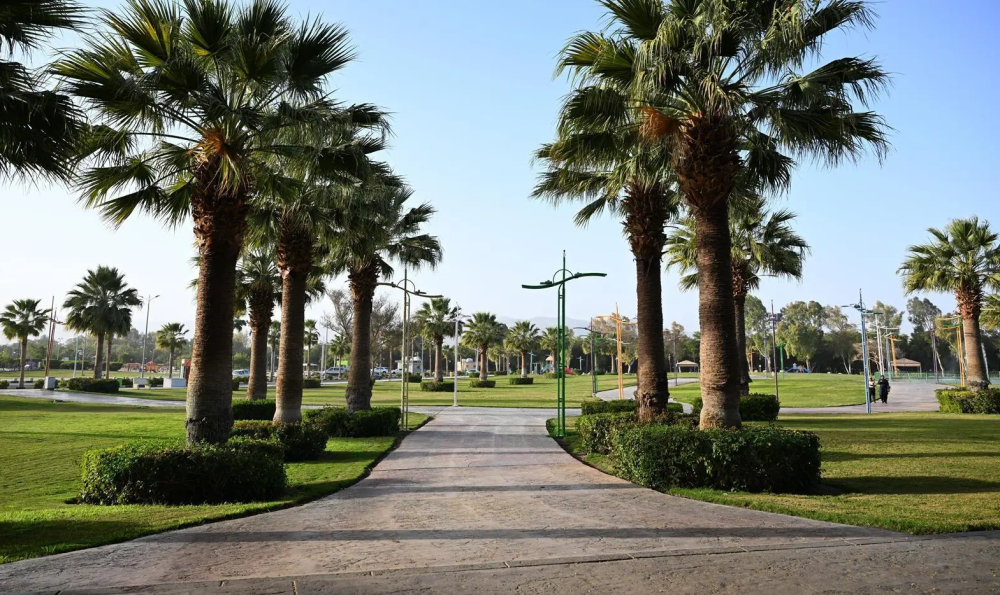 حدائق ومتنزهات نجران.. وجهة مثالية لمحبي الهدوء والاسترخاء