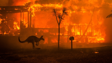 Australian bushfires: Victoria evacuated and warnings of impending disaster
