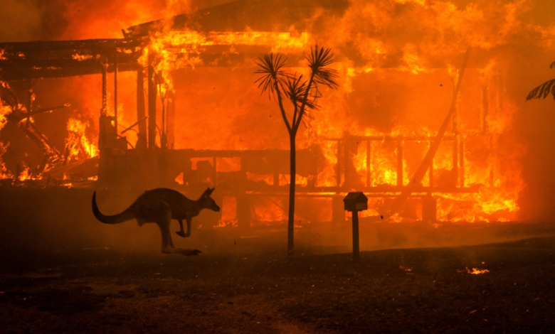 Australian bushfires: Victoria evacuated and warnings of impending disaster