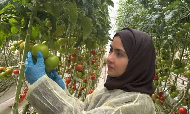 A Saudi innovation at KAUST to enhance plant immunity and food security