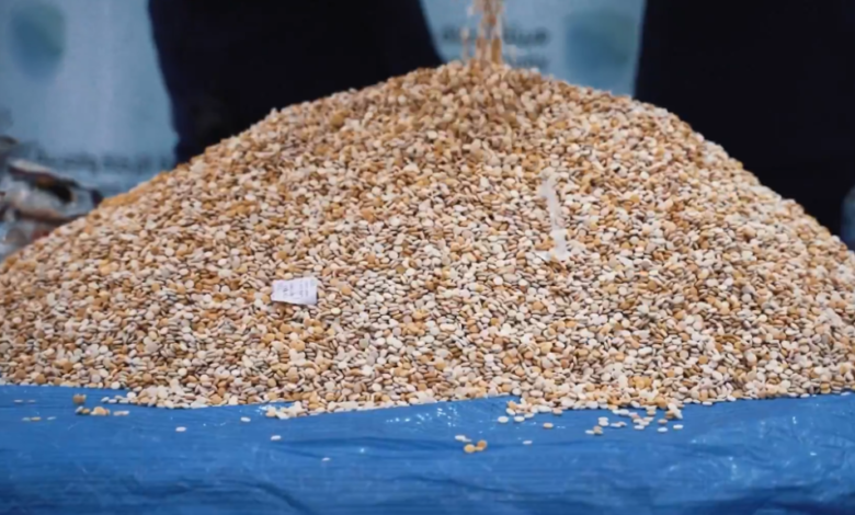 إحباط تهريب 4.7 مليون حبة كبتاجون بميناء جدة الإسلامي