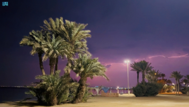 طقس السعودية: أمطار على تبوك وتوقعات الأرصاد لـ 8 مناطق