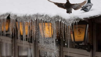 عواصف شمال أوروبا تشل النقل وتقطع الكهرباء عن الآلاف