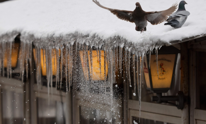 Storms in northern Europe paralyze transport and cut power to thousands