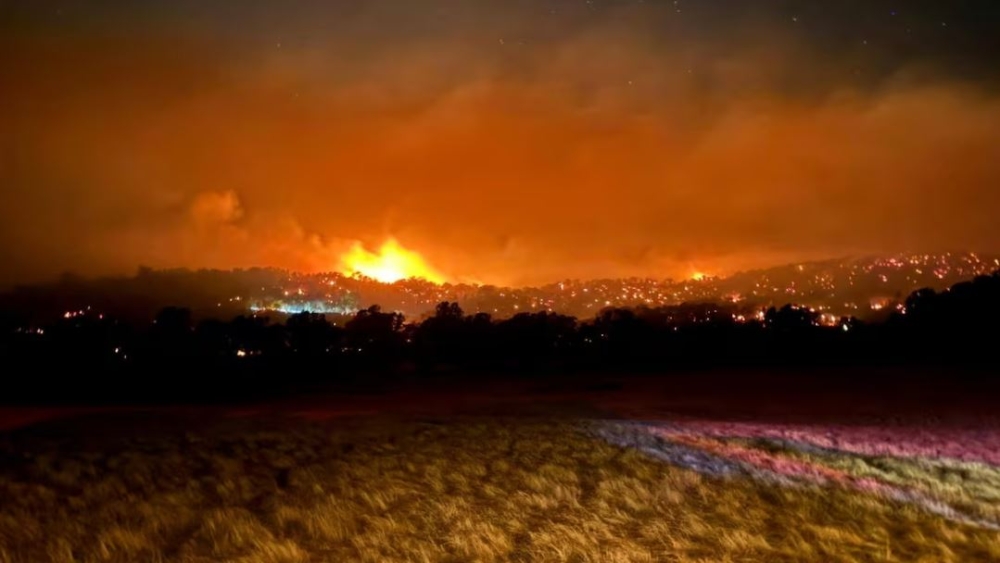 Disaster declared in southeastern Australia due to bushfires - Reuters