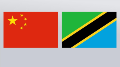 الصين ترفض التدخل الخارجي في تنزانيا وتدعم سيادتها