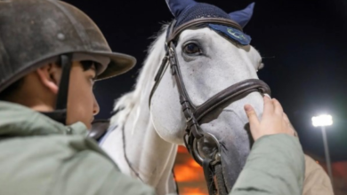 تجارب منزال في موسم الدرعية: تراث حي في وادي صفار