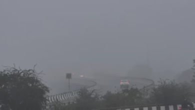 Weather alerts: Fog and reduced visibility in 5 Saudi regions
