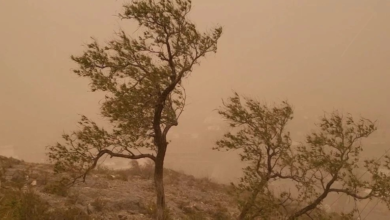 طقس السعودية اليوم: تنبيهات من أتربة مثارة ورياح بالرياض والشرقية