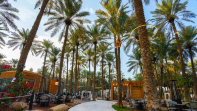 السياحة في القصيم شتاءً: وجهة عائلية تجمع التراث والطبيعة