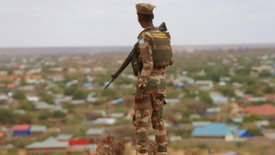 الجيش الصومالي يقضي على 17 إرهابياً في شبيلى الوسطى