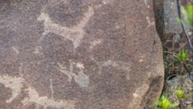 اكتشاف نقوش أثرية عمرها 5000 عام في مشروع قمم السودة