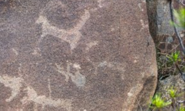 اكتشاف نقوش أثرية عمرها 5000 عام في مشروع قمم السودة