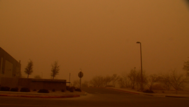 إنذار أحمر: عواصف ترابية في الحدود الشمالية والجوف وضباب بالشرقية