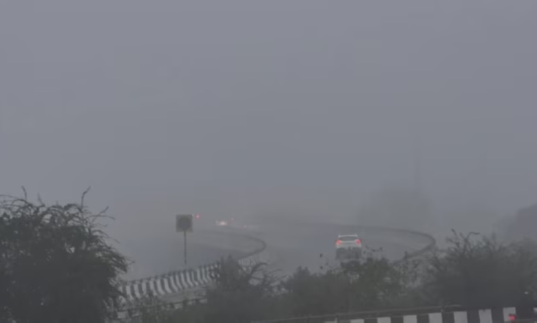 Saudi Arabia weather today: Fog in 6 regions and a red alert in the north