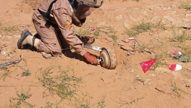 مسام ينزع 1181 لغماً في اليمن: حصاد الأسبوع الثاني من يناير