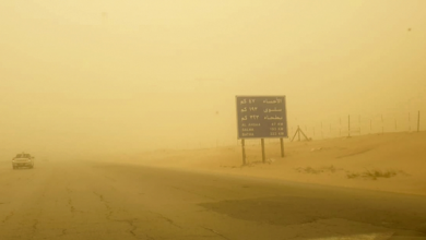 نصائح التعامل مع موجات الغبار وحماية الجهاز التنفسي