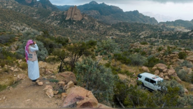 العُلا: غرامات مالية لحماية الغطاء النباتي من القيادة الجائرة