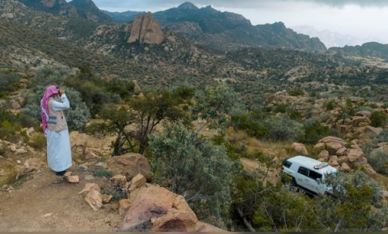 العُلا: غرامات مالية لحماية الغطاء النباتي من القيادة الجائرة