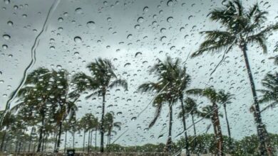 Weather alerts: Rain in Al-Baha and active winds in Tabuk