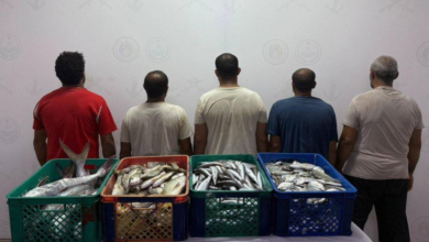 ضبط 5 مخالفين للصيد البحري في القنفذة بمكة المكرمة