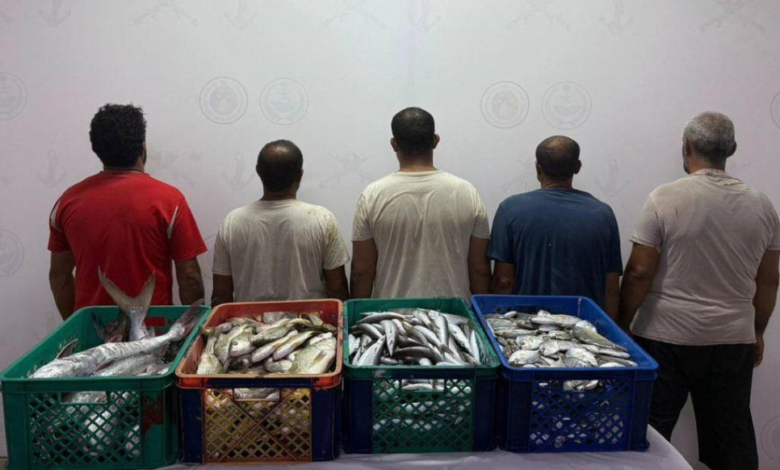 ضبط 5 مخالفين للصيد البحري في القنفذة بمكة المكرمة