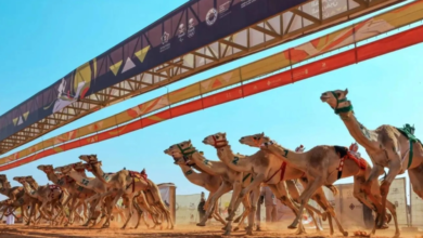 مهرجان خادم الحرمين للهجن 2026: الموعد والجوائز في الرياض